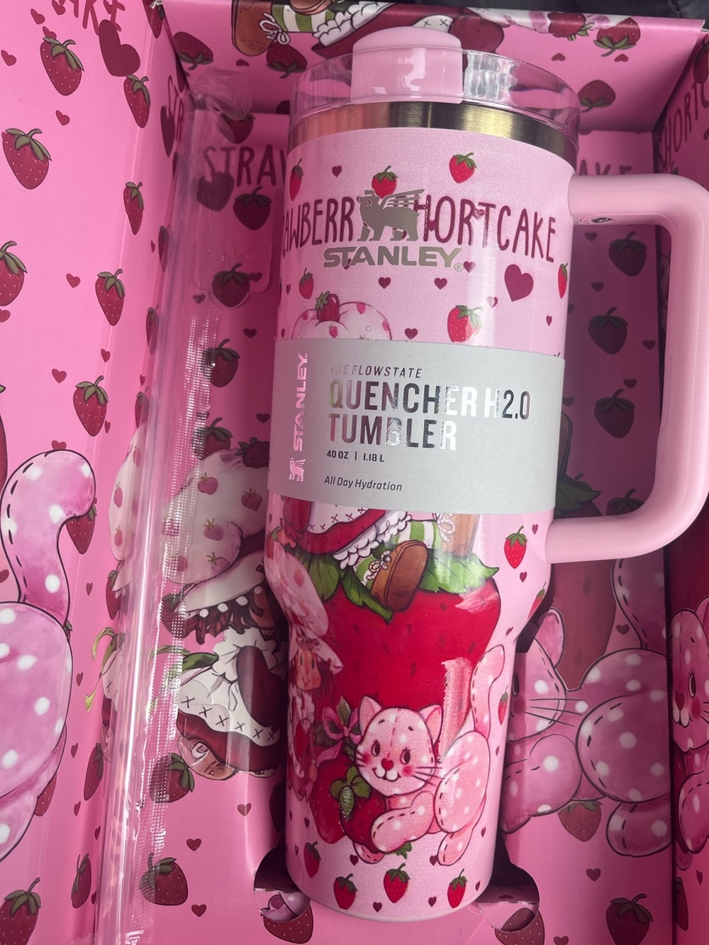Strawberry Shortcake x Stanley quencher water bottle cup loveshackfancy gift box
